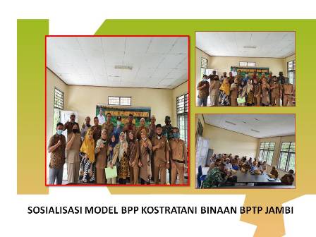 SOSIALISASI MODEL BPP KOSTRATANI BINAAN BPTP JAMBI 