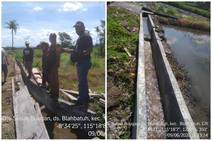 Kegiatan Rjit (rehabilitasi Jaringan Irigasi Tersier) Di Subak Buwugan, Desa Blahbatuh, Kec. Blahbatuh, Kabupaten Gianyar