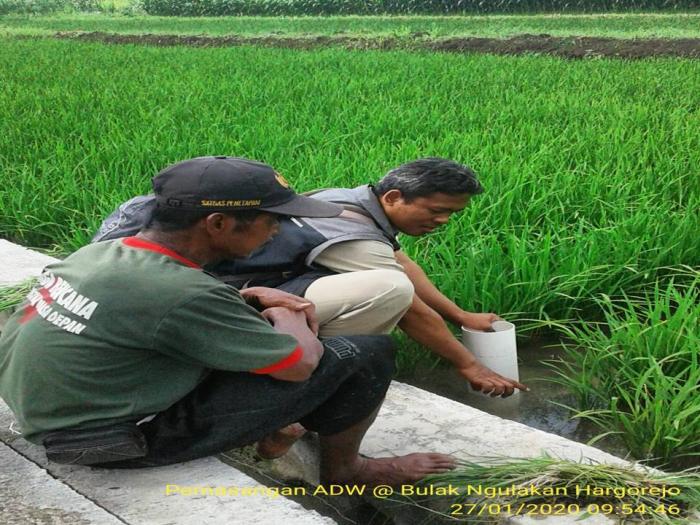 TEKNOLOGI IRIGASI HEMAT AIR DENGAN PENGELOLAAN BASAH KERING (PBK) /ALTERNATE WETTING AND DRYING (AWD)