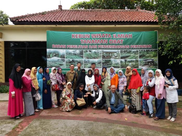 Mengatasi Demam Berdarah dengan Herbal