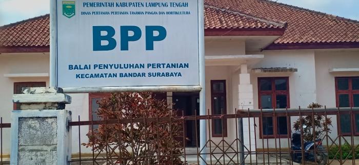 BILING SISTEM
