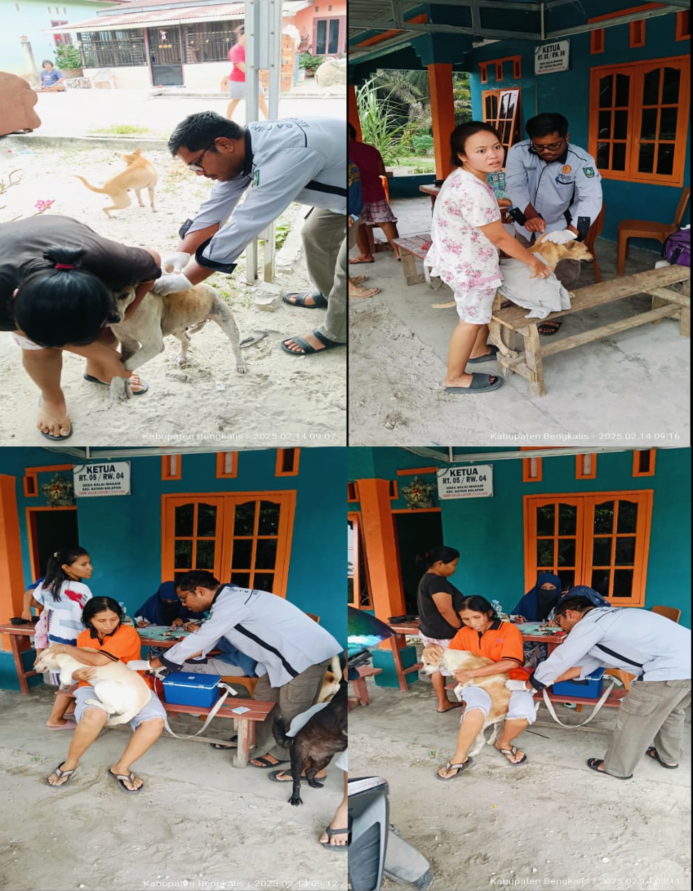 VAKSINASI RABIES DADAKAN DESA BALAI MAKAM KECAMATAN BATHIN SOLAPAN SETELAH TERJADI KASUS MASYARAKAT DIGIGIT ANJING