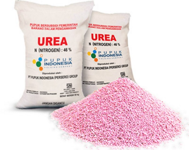 Pupuk Urea, Manfaat dan Dosis Pemakaiannya pada Tanaman Padi