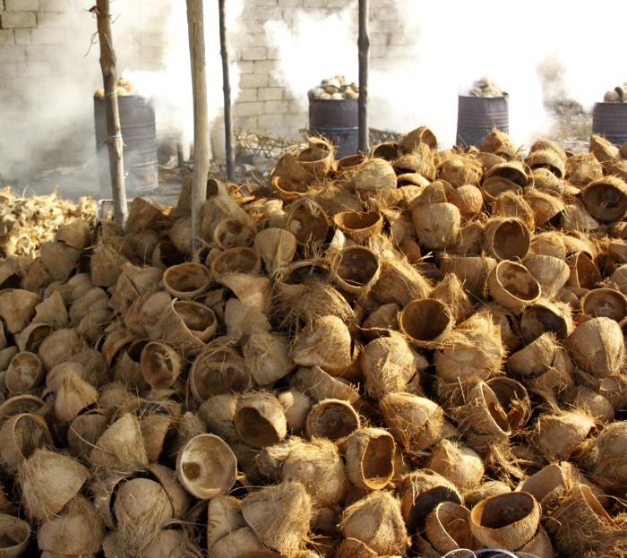 PENERAPAN SL PHT TANAMAN KOPI