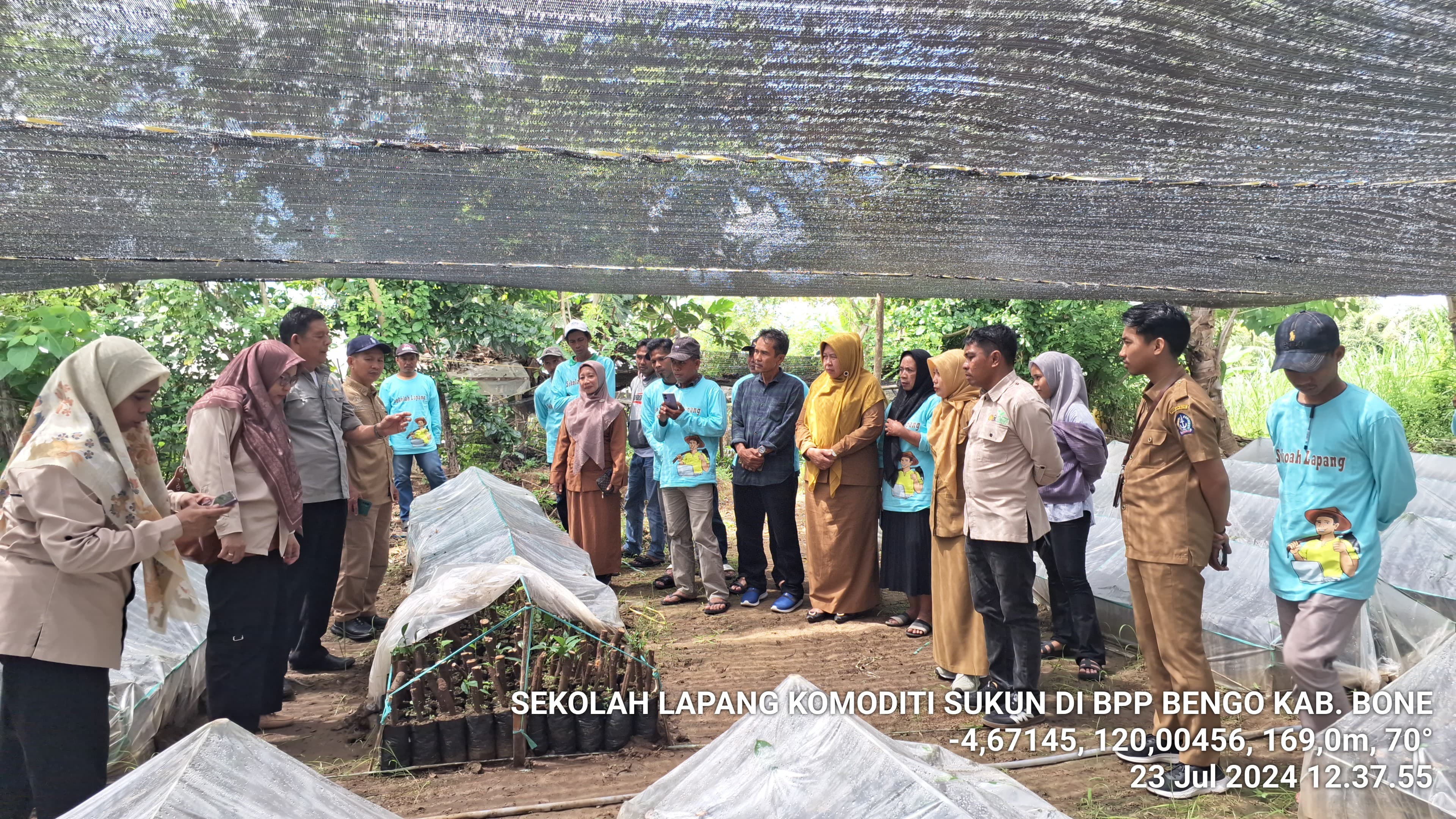 Sekolah Lapang, Tingkatkan Kapasitas Petani dalam Budidaya Sukun 