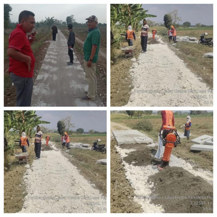 Pembangunan Jalan Usahatani (jut) Desa Pejok Kecamatan Kedungadem