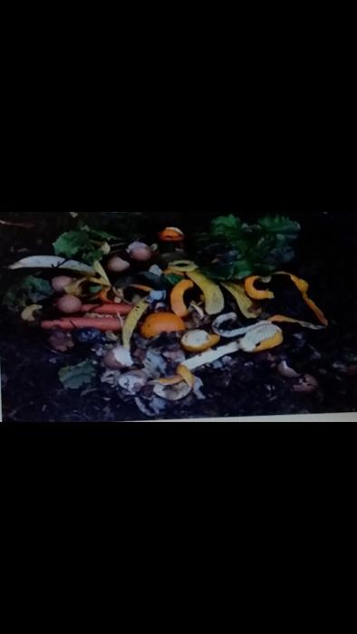 Membuat Poc ( Pestisida Organik Cair ) Dari Limbah Dapur