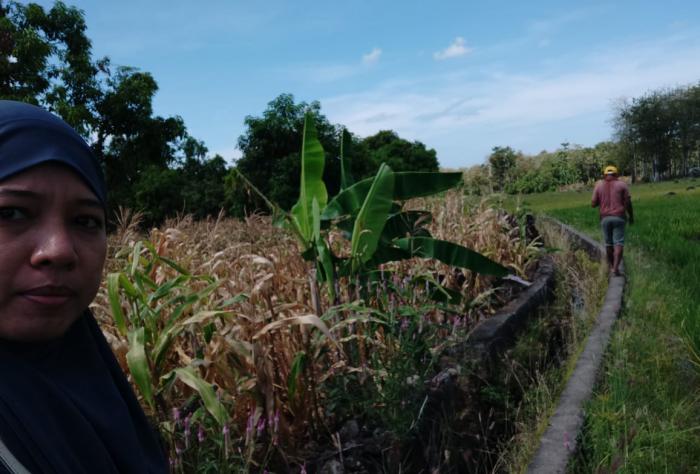 Kunjungan Kelompok Tani Harapan Baru Desa Tombolo Kec. Gantarangkeke Kab. Bantaeng