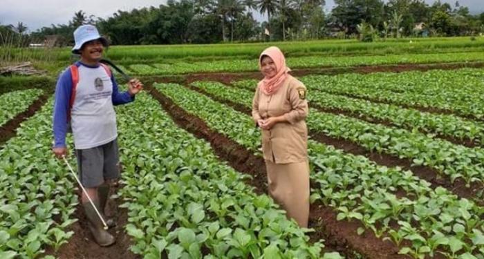 Medan Tempur Pertanian Dimulai dari Kecamatan, Kopassusnya dari BPP