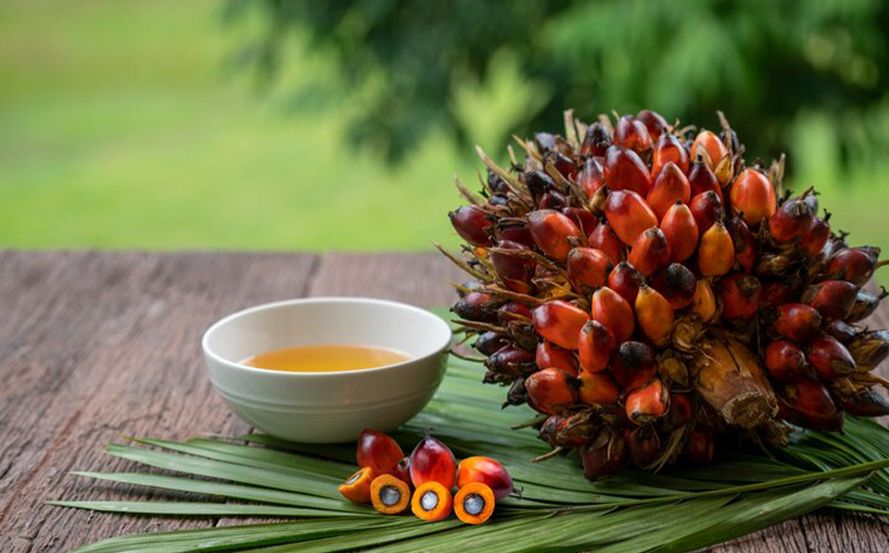 Penurunan Emisi Gas Rumah Kaca Melalui Teknologi CSA