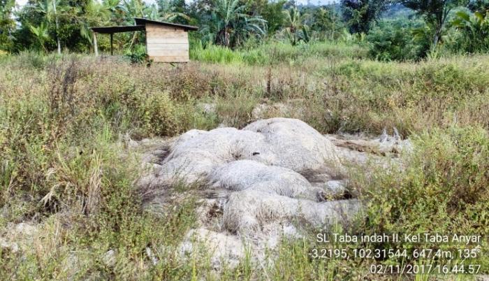 HENTIKAN MEMBAKAR LIMBAH JERAMI PADI