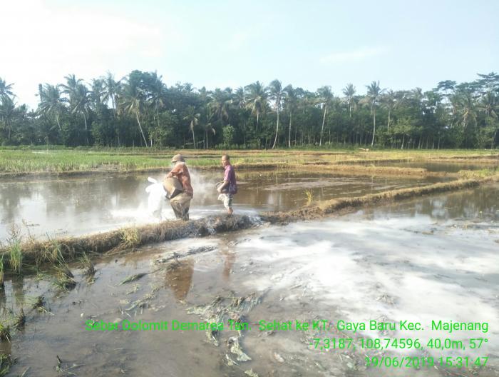 Manfaat Kapur Dolomit Pada Tanah Sawah
