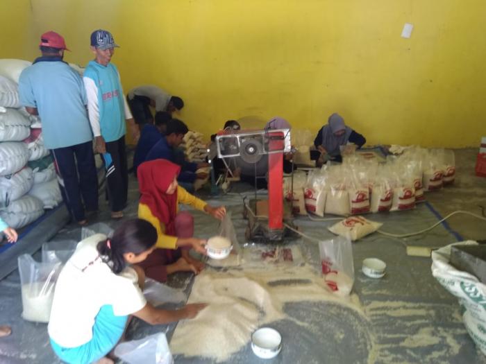 Kegiatan Pengembangan Usaha Pangan Masyarakat (pupm)  Di Kelompok Tani Banyuurip Desa Mundusewu Kecamatan Bareng Kab. Jombang