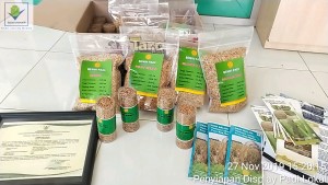 BENIH PADI LOKAL MENDUKUNG PROGRAM NASIONAL
