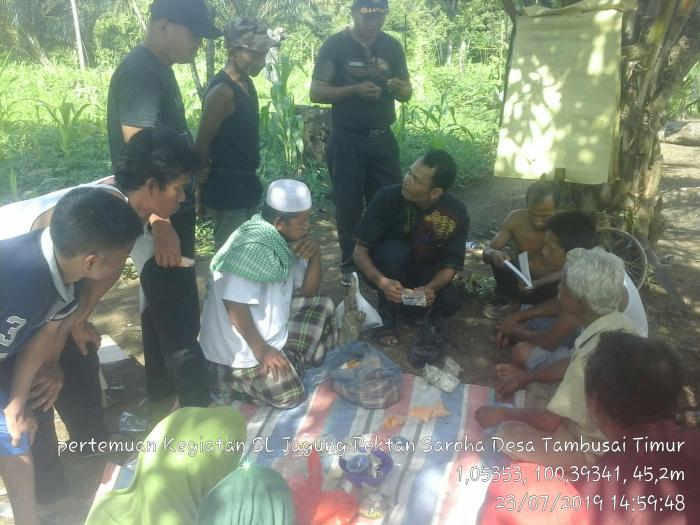 Pemanfaatan Trichoderma Bagi Tanah dan Tanaman