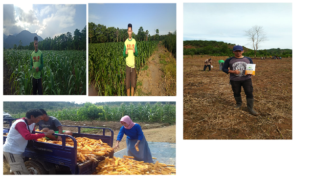 Program Unggulan Kabupaten konawe Utara