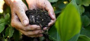 KETERSEDIAAN DAN MANFAAT BAHAN ORGANIK DALAM TANAH 