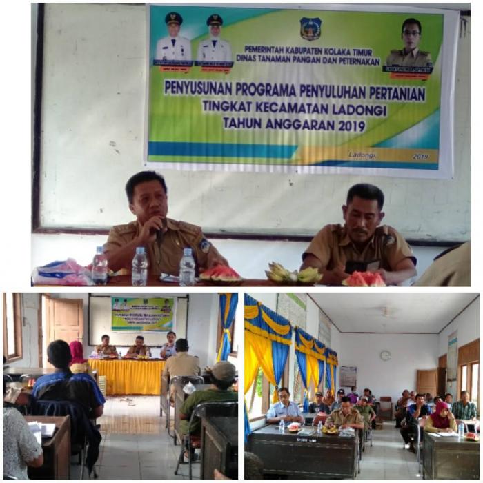 Penyusunan Programa Penyuluhan Pertanian Kecamatan Ladongi Kabupaten Kolaka Timur Tahun 2019