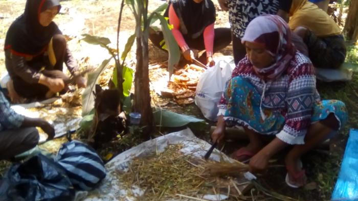 CARA PEMBUATAN ROMA (RAMUAN ORGANIK HAMA)