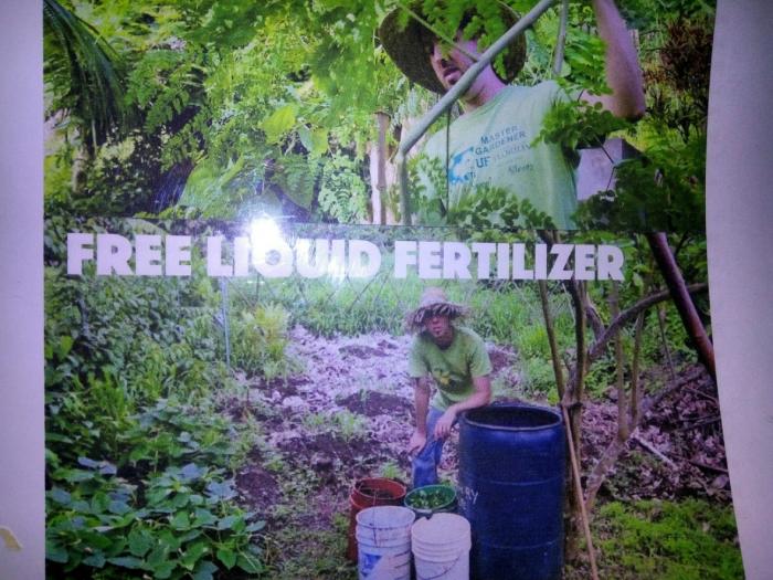 PEMBUATAN PUPUK CAIR ORGANIK KELOR (Moringa Liquid Fertililzer)
