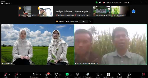 Padi Organik, Solusi Pertanian Ramah Lingkungan