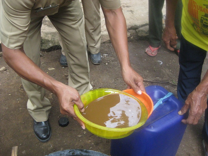 PENGOLAHAN LIMBAH TERNAK DARI URINE SAPI MENJADI PUPUK ORGANIK BIO URINE 
