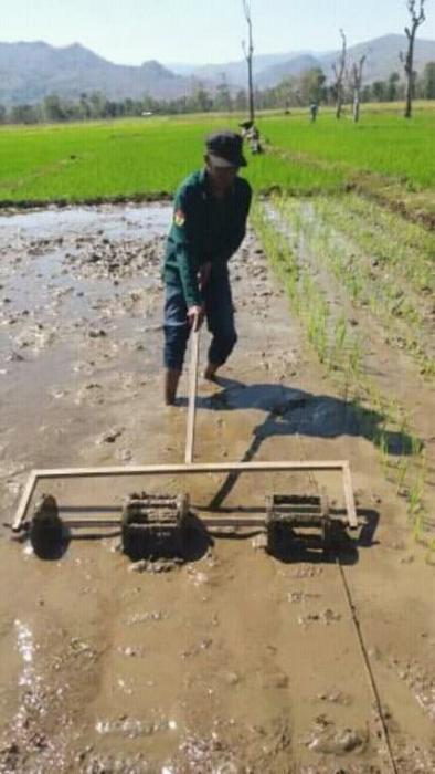 CAPLAK UNTUK TANAM JAJAR LEGOWO