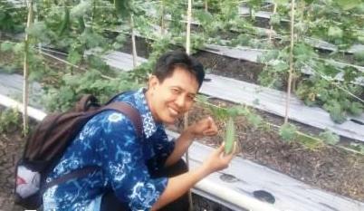 Cara Menyiapkan benih dan Penanaman Okra