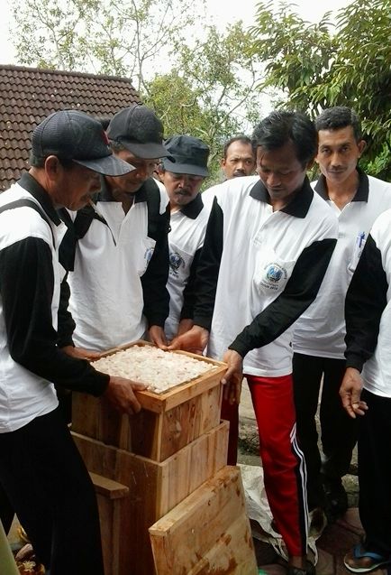 PENINGKATAN KWALITAS BIJI KAKAO DENGAN FERMENTASI