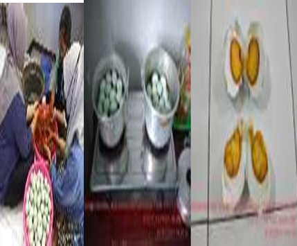 Pengawetan dan Pembuatan Telur Asin 