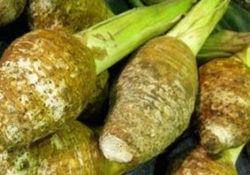 Satoimo, Talas Bernilai Ekspor