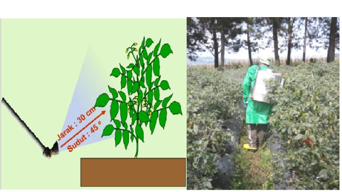 PENGGUNAAN PESTISIDA YANG BAIK DAN BENAR (Menurut Konsepsi Pengelolaan Hama Terpadu  (PHT))