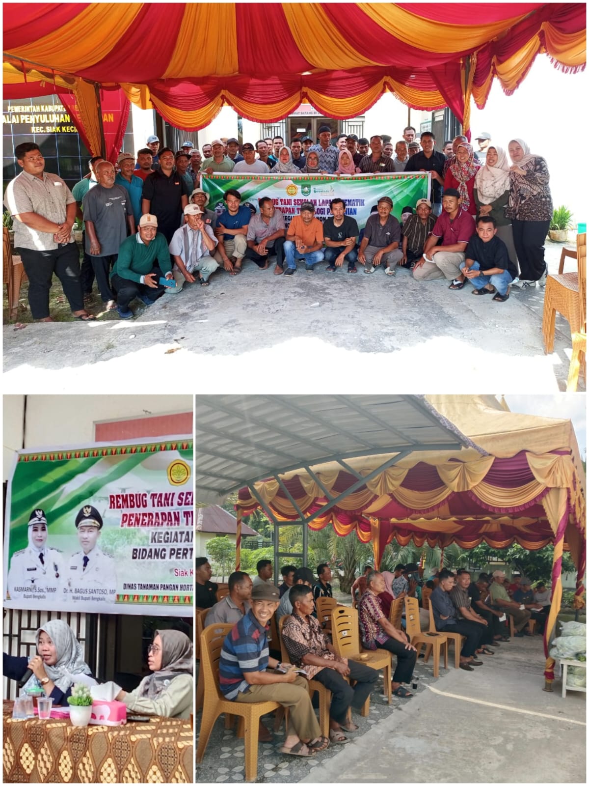 REMBUG TANI SEKOLAH LAPANG TEMATIK PENERAPAN TEKNOLOGI PERTANIAN 