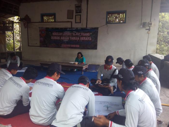 SLPHT PISANG DI SUBAK ABIAN TAMAN SERAYA DESA ANTIGA KECAMATAN MANGGIS KABUPATEN KARANGASEM