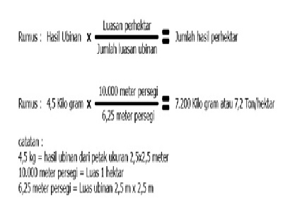 Metode Pengubinan Monokultur Tanaman Padi