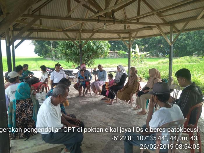 KELOMPOK TANI TANGGAP TERHADAP HAMA PENGGEREK BATANG PADI DI KECAMATAN PATOKBEUSI KABUPATEN SUBANG
