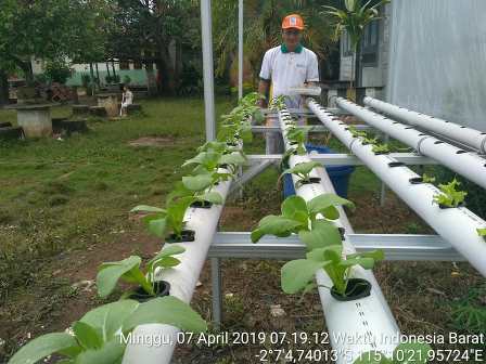 mengajak anak-anak untuk kontrol nutrisi dan kondisi tanaman hidroponik 