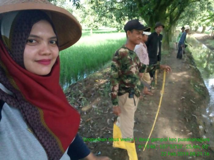Pengendalian Hama Tikus Secara Terpadu