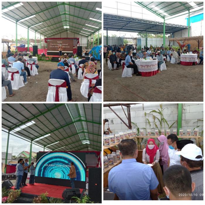 LOUNCING RESTO PAKAN TERNAK DAN GELAR PRODUK SHORGUM KABUPATEN SITUBONDO PROVINSI JAWA TIMUR