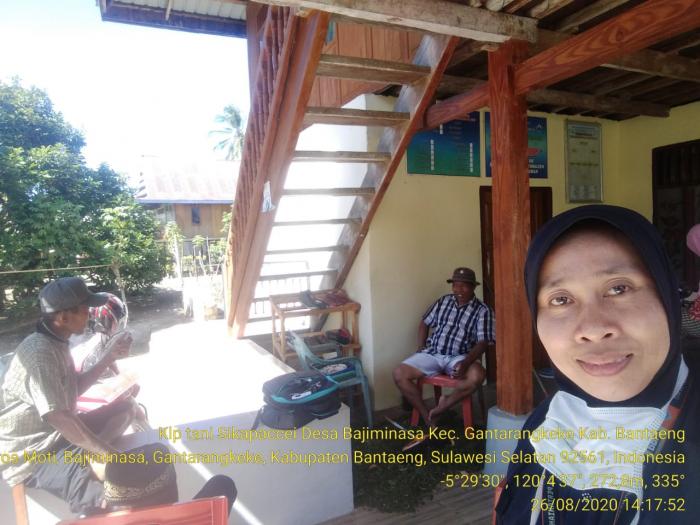 KUNJUNGAN KE KELOMPOK TANI SIKAPACCEI DESA BAJIMINASA KAB.BANTAENG
