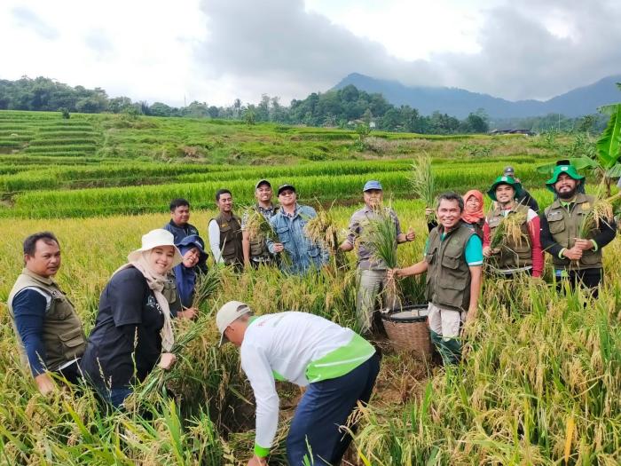 BPP WILAYAH XI KABUPATEN BOGOR SUKSES MELAKSANAKAN PANEN PADI DEMPLOT BIOSAKA 