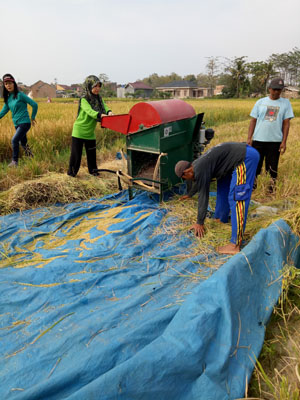 Alsintan Panen Padi Sawah