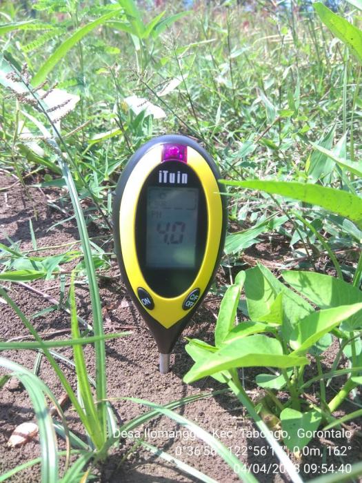 CARA JITU MENYUBURKAN DAN MENETRALKAN TANAH