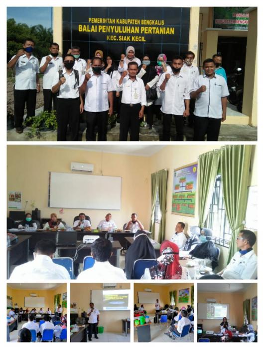 Verifikasi Dan Validasi Data Simluhtan Kabupaten Bengkalis Di UPT BPP Siak Kecil