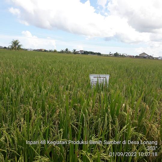 PENGENALAN VARIETAS UNGGUL BARU PADI INPARI 48 BLAS DI KALIMANTAN BARAT 