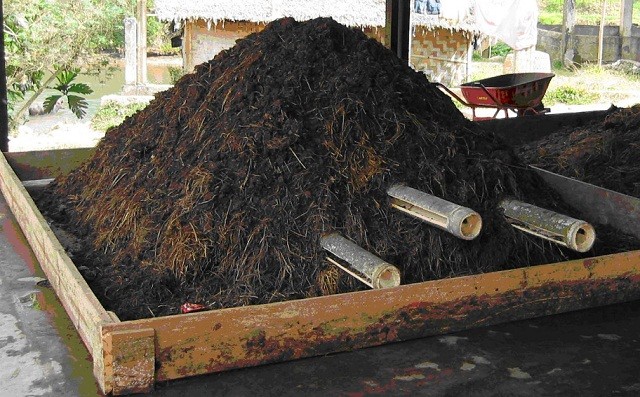 CARA MEMBUAT TRICHO KOMPOS JERAMI 