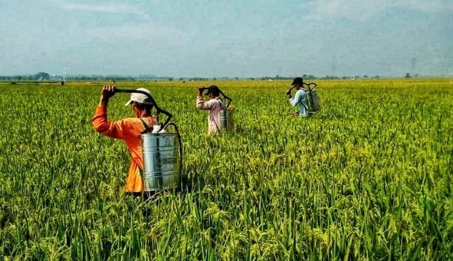 Tiga belas Cara Praktis Meningkatkan Motivasi Kerja Diri Sendiri