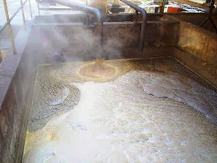 Pemanfaatan Limbah Tempe Dan Ampas Tahu Sebagai Pakan Ternak