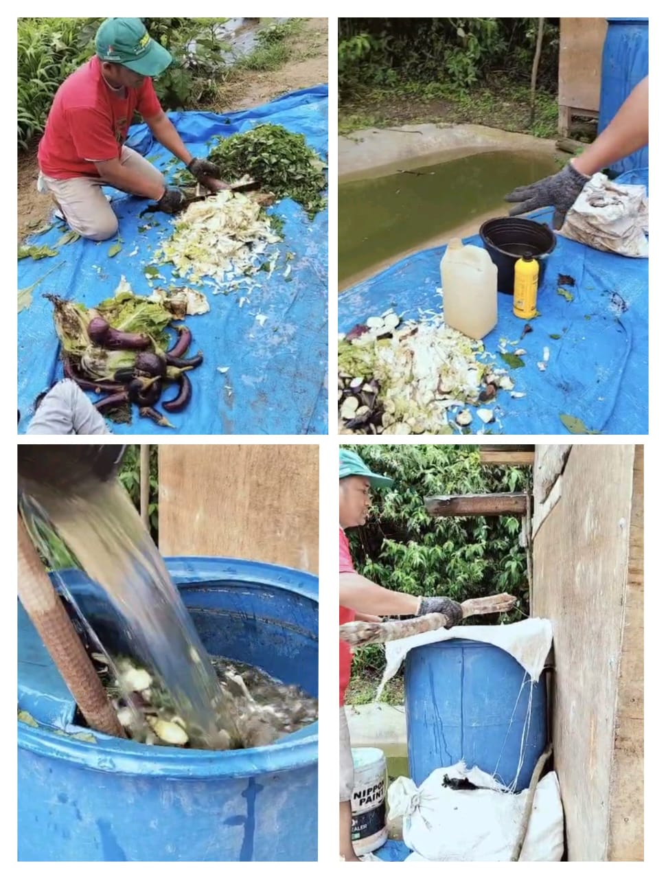 Pembuatan Pupuk Organik Cair (POC) Limbah Dapur