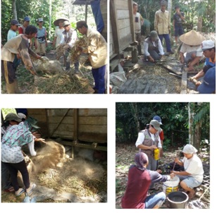 TEKNIK PEMBUATAN KOMPOS JERAMI